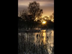 Chris Beesley-Warm Winter Light-Very Highly Commended.jpg